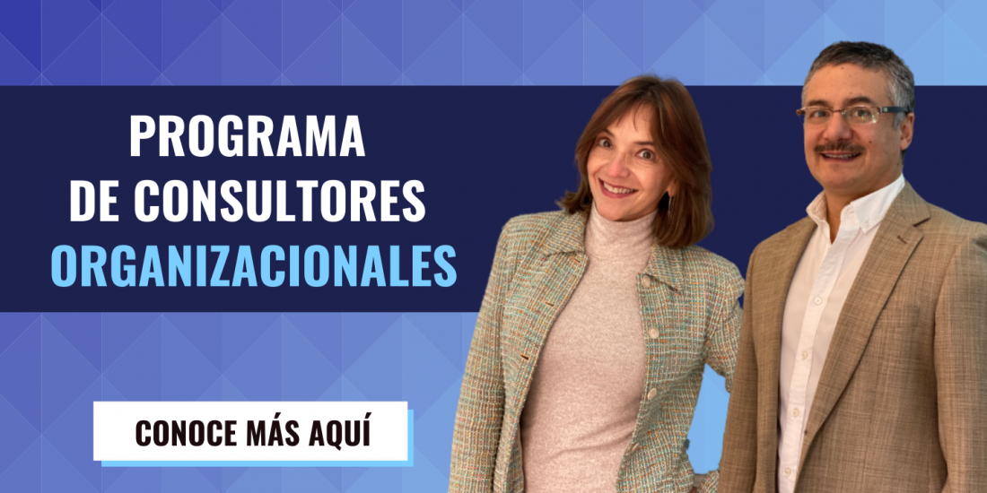 Programa de consultores organizacionales